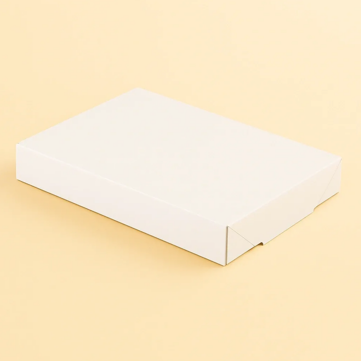 Bake Lid for 400 x 300 (100pcs)